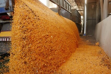 Ya se vendieron casi 300.000 toneladas de soja y acumulan más de 1,15 millones