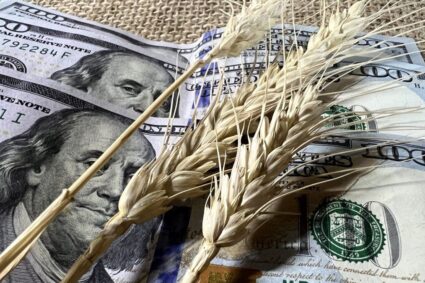 La baja de retenciones al trigo y la cebada: un respiro para la agricultura argentina