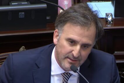 Benegas Lynch se defiende en el Senado comparando la venta de tierras a extranjeros con la abogacía y la salud